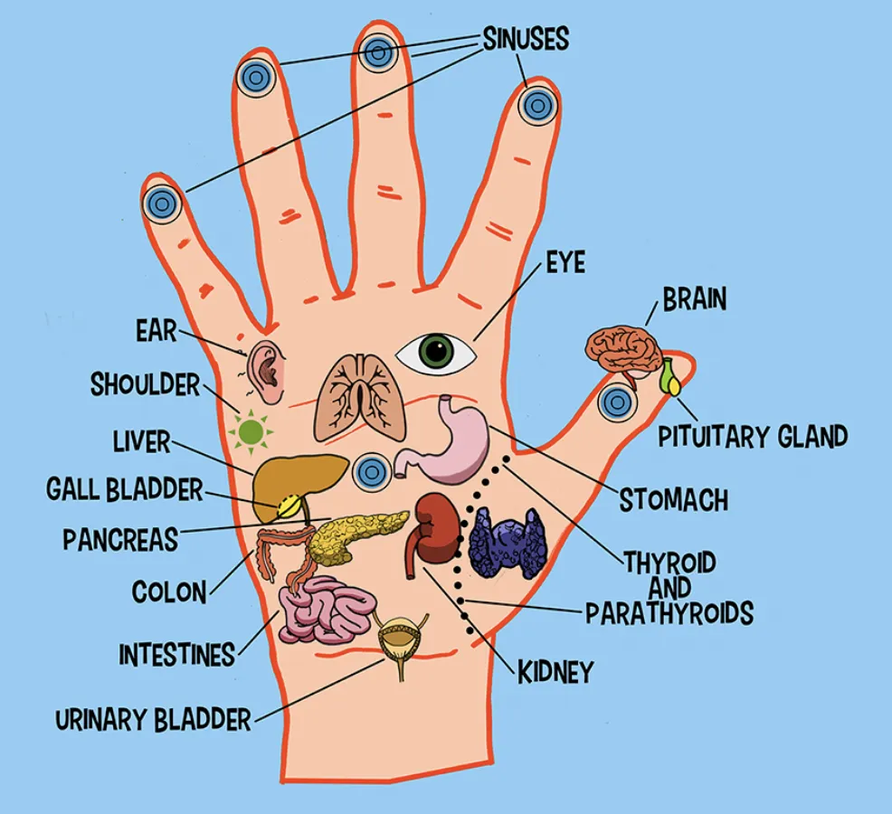 Acupressure & Acupuncture