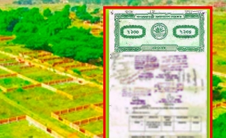 Land Project